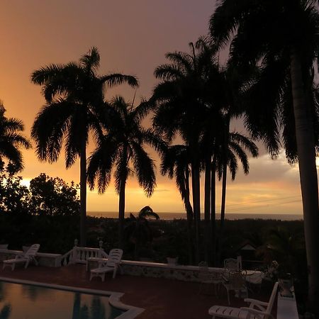 The Retreat @ A Piece Of Paradise Bed and Breakfast Montego Bay Eksteriør billede